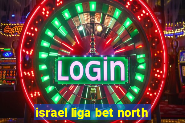 israel liga bet north