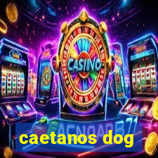 caetanos dog