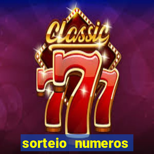 sorteio numeros bingo online