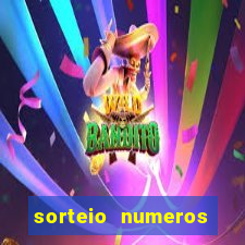 sorteio numeros bingo online