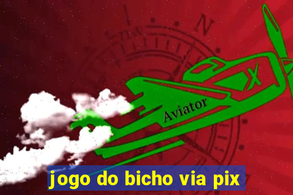 jogo do bicho via pix