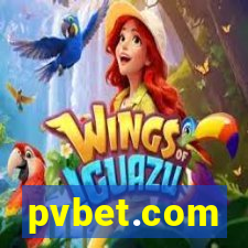 pvbet.com