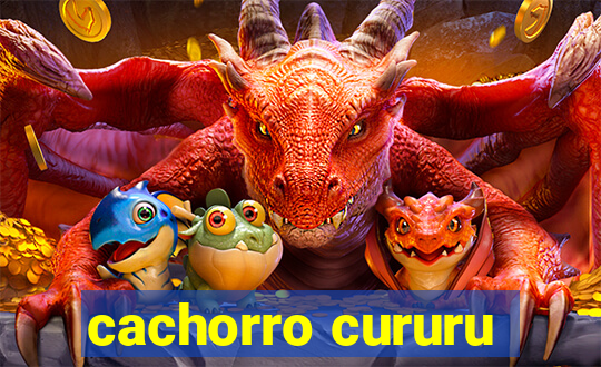 cachorro cururu