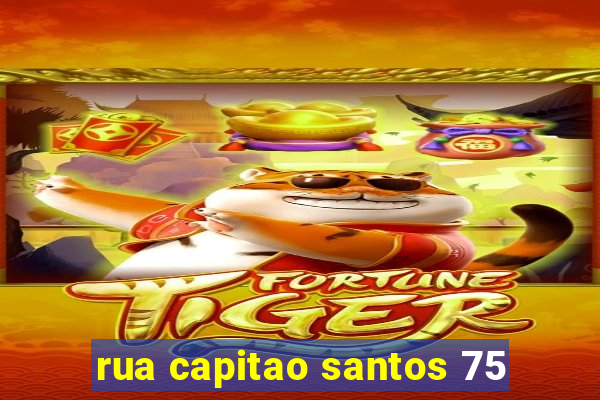 rua capitao santos 75