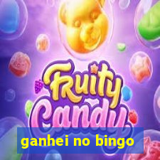 ganhei no bingo