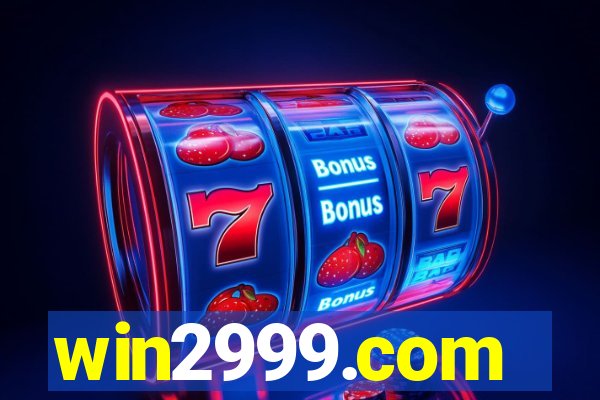 win2999.com