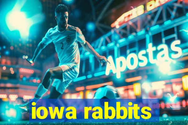 iowa rabbits