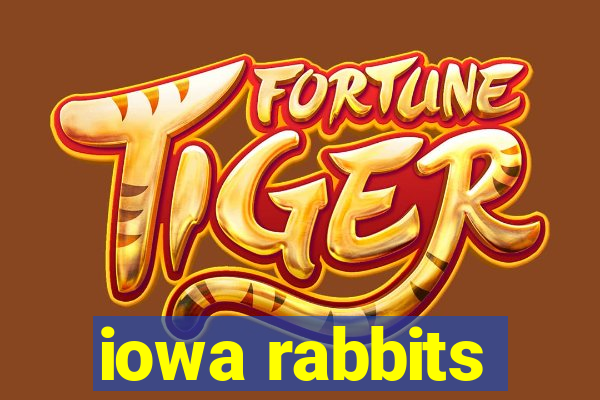 iowa rabbits