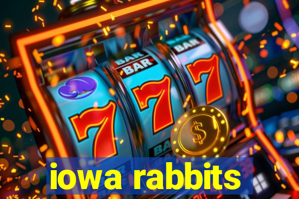 iowa rabbits