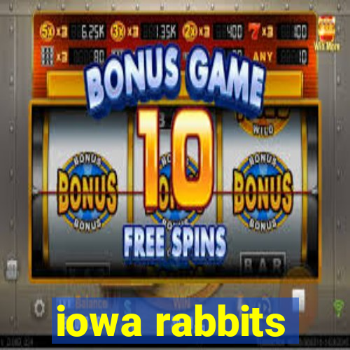 iowa rabbits