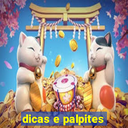 dicas e palpites