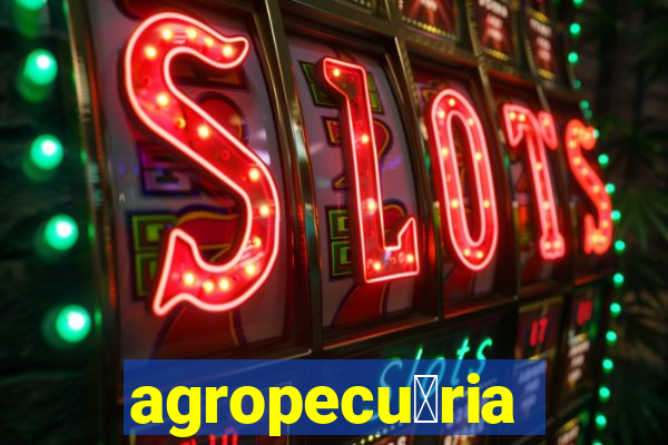 agropecu谩ria jaragua do sul