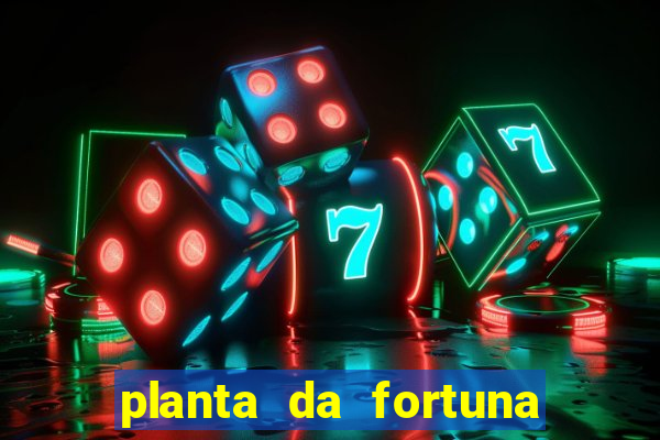 planta da fortuna e felicidade