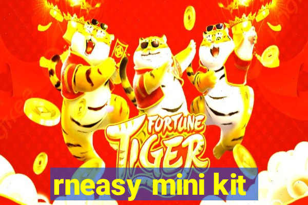 rneasy mini kit