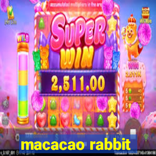 macacao rabbit