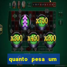 quanto pesa um porco grande