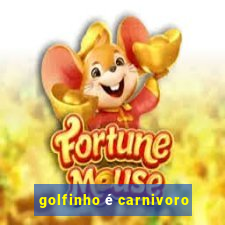 golfinho é carnivoro