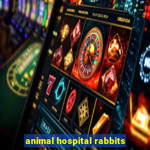 animal hospital rabbits