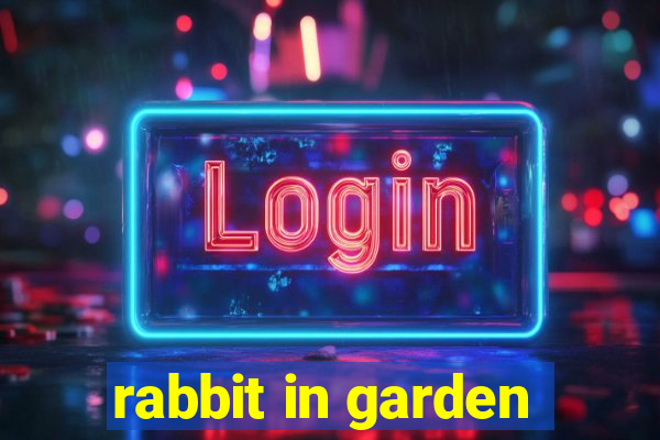 rabbit in garden