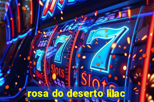 rosa do deserto lilac