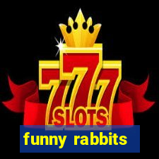 funny rabbits