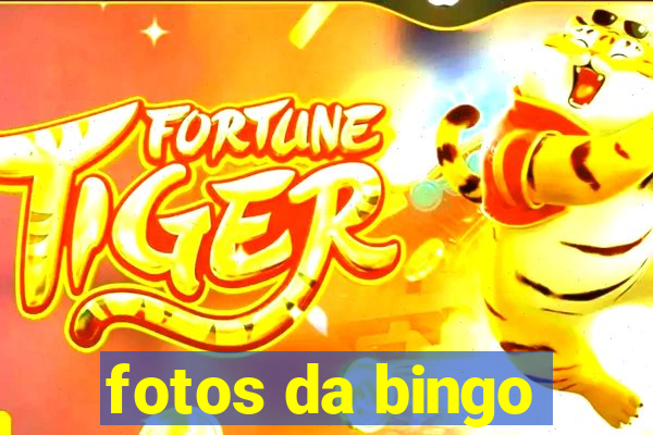 fotos da bingo