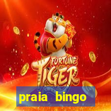 praia bingo download pc