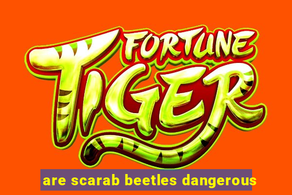 are scarab beetles dangerous