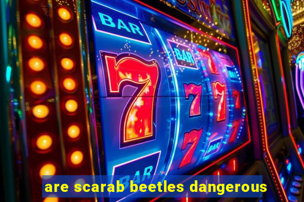 are scarab beetles dangerous