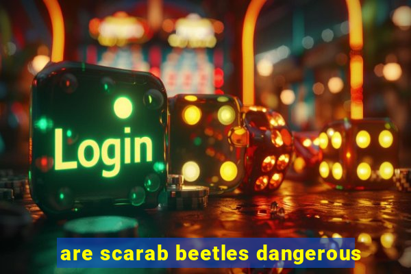 are scarab beetles dangerous