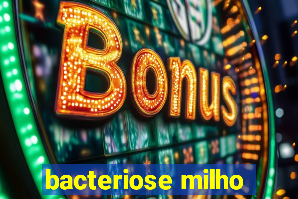 bacteriose milho