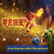 dropshipping rabbit Navigational