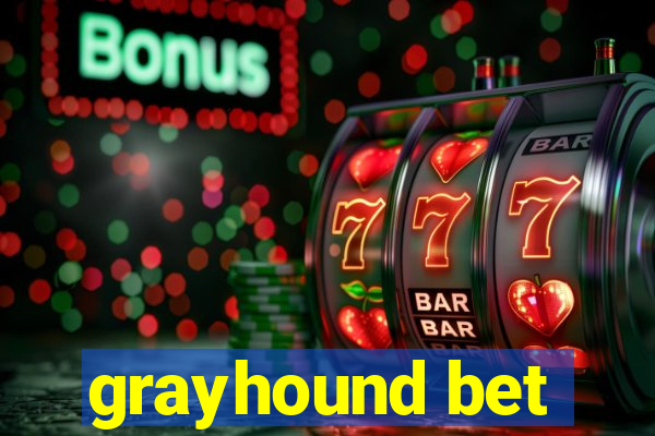 grayhound bet