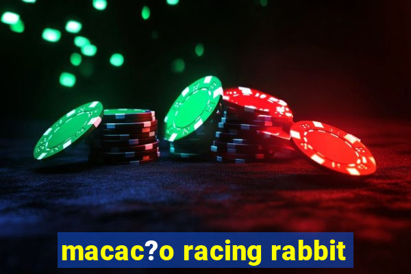 macac?o racing rabbit