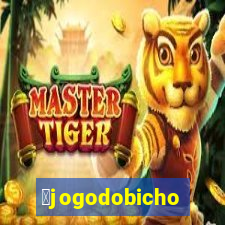 茅jogodobicho