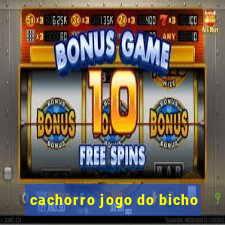 cachorro jogo do bicho