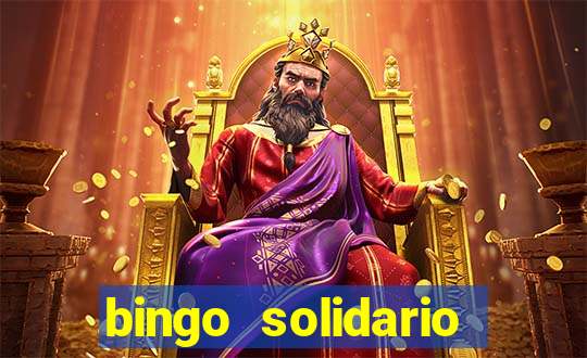 bingo solidario como organizar