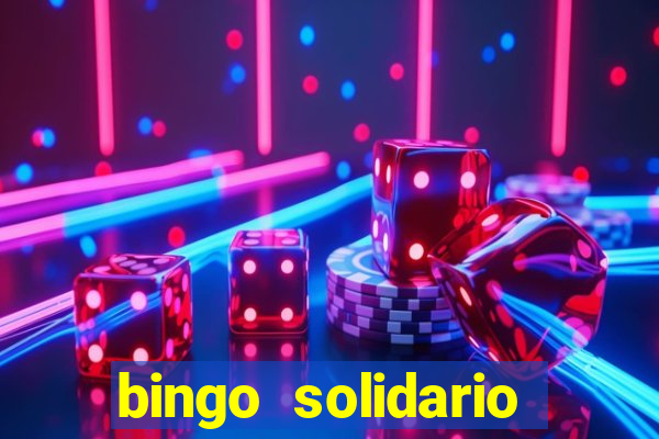 bingo solidario como organizar