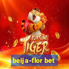 beija-flor bet