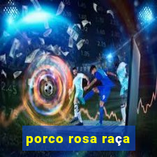 porco rosa raça