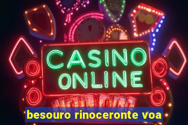 besouro rinoceronte voa