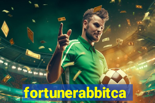 fortunerabbitcasino.online