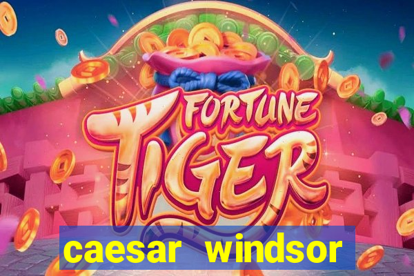 caesar windsor casino hotel