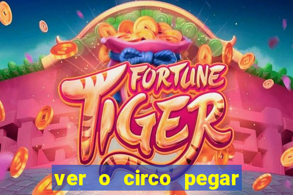 ver o circo pegar fogo significado