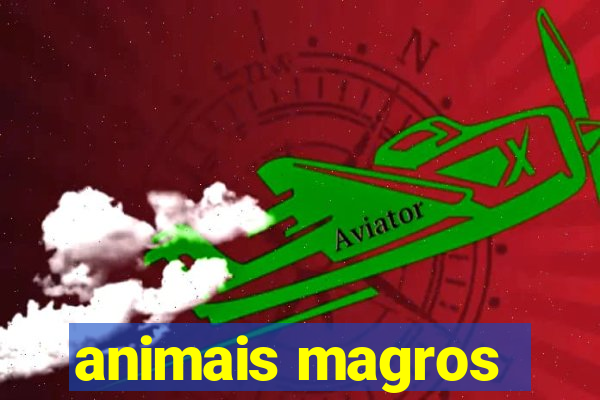 animais magros