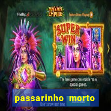 passarinho morto significado espiritual