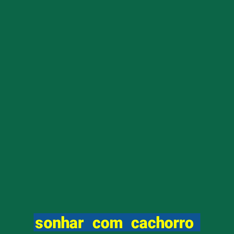 sonhar com cachorro sem cabe莽a