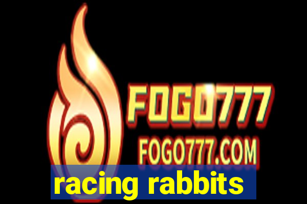 racing rabbits