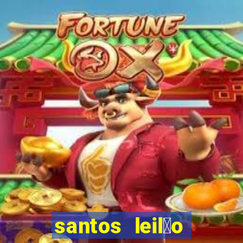 santos leil茫o passo fundo