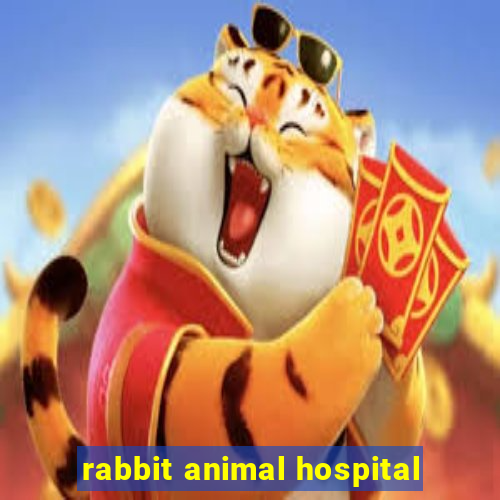 rabbit animal hospital